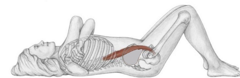 psoas ontladen