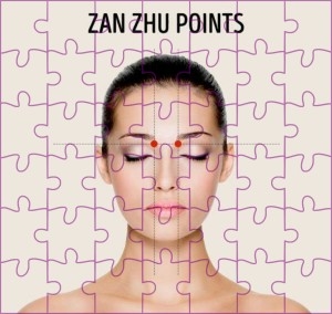 Zan Zhu punten