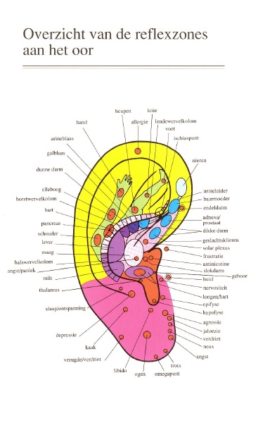 Reflexzones van het Oor