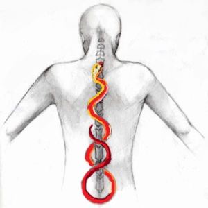 the rising snake of Kundalini