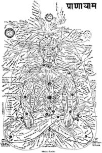 Marma punten verbonden aan energiekanalen; in de Ayurveda zijn er in totaal 72.000 van deze kanalen bekend, nadi’s genoemd.