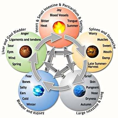 Zang fu als Wu Xing cyclus