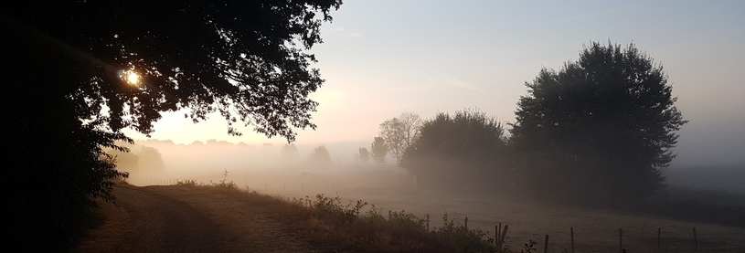 begin de dag met een wandeling