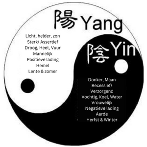 de leer van Yin Yang