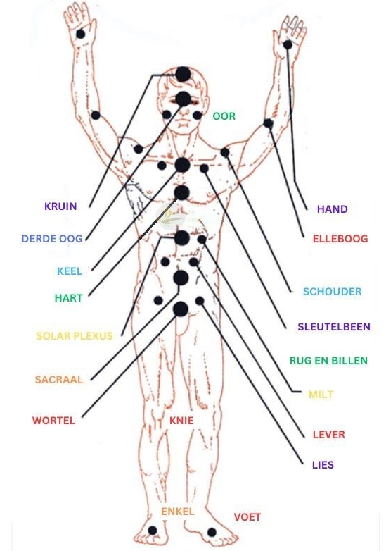 hoofd en neven chakras