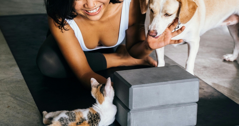 vrouw speelt met hond en kat